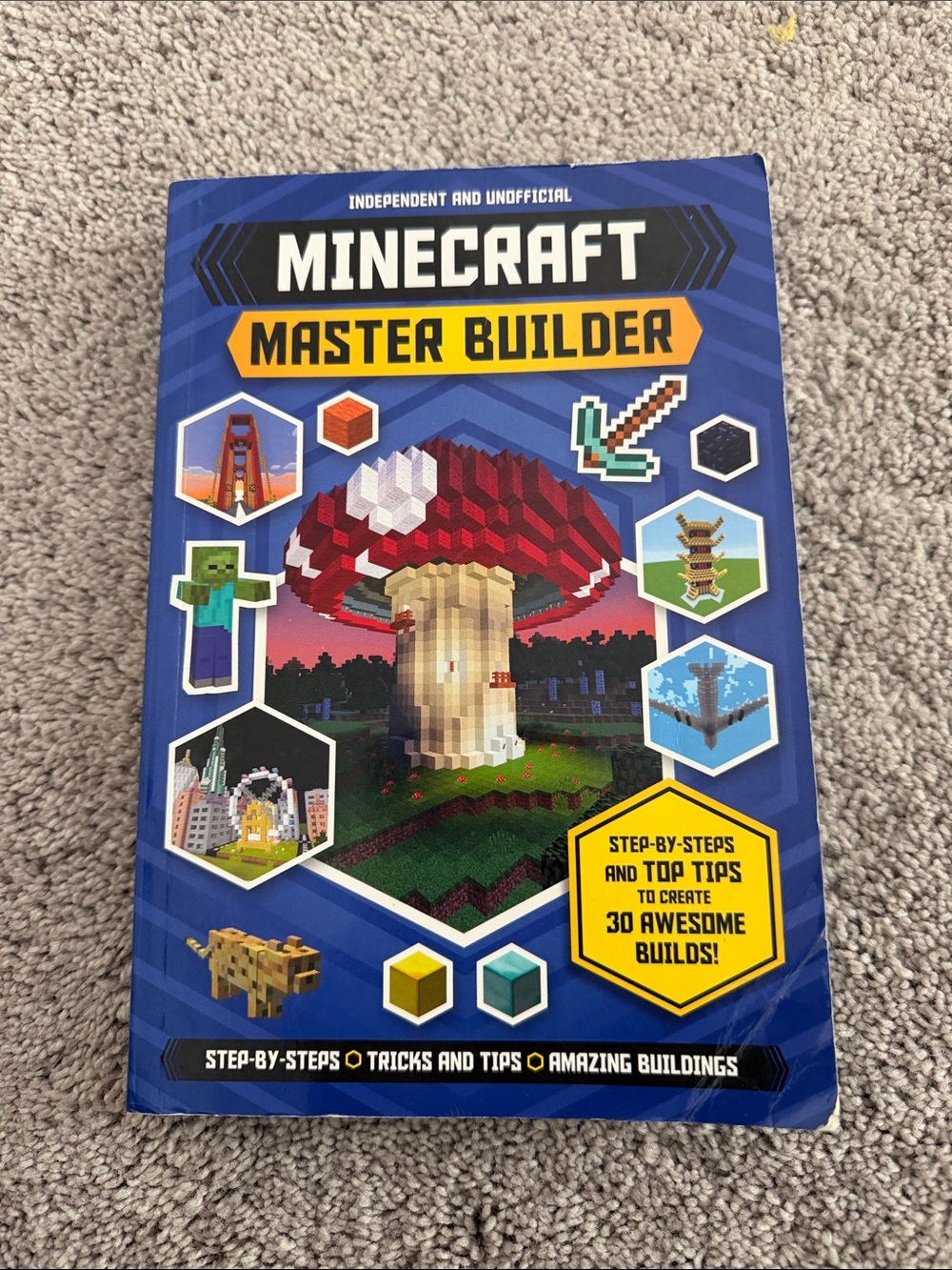 Minecraft Master Builder Book - Blue Cover